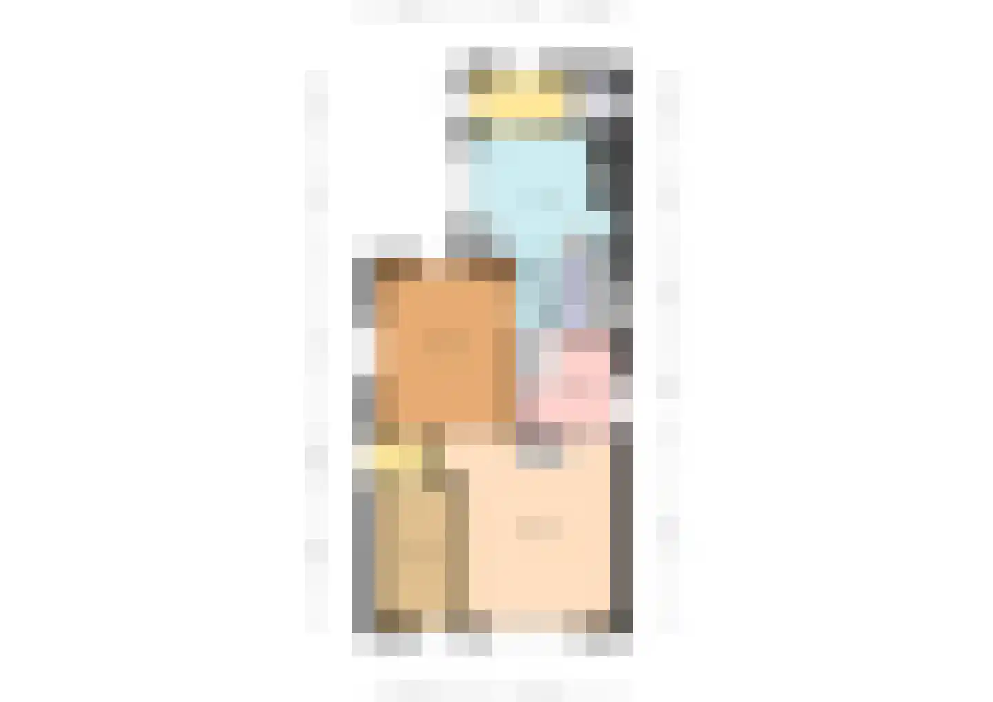 Eerste Blokweg 19 Vroomshoop thumbnail 39