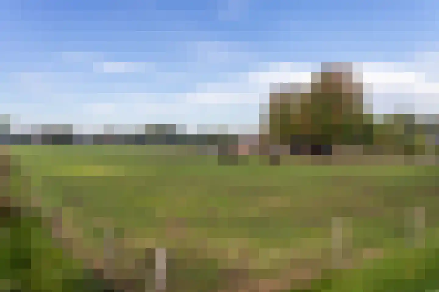 Eerste Blokweg 19 Vroomshoop thumbnail 4