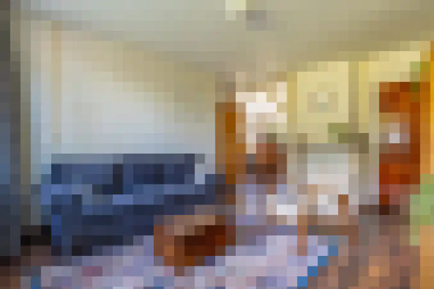 Eerste Blokweg 19 Vroomshoop thumbnail 5