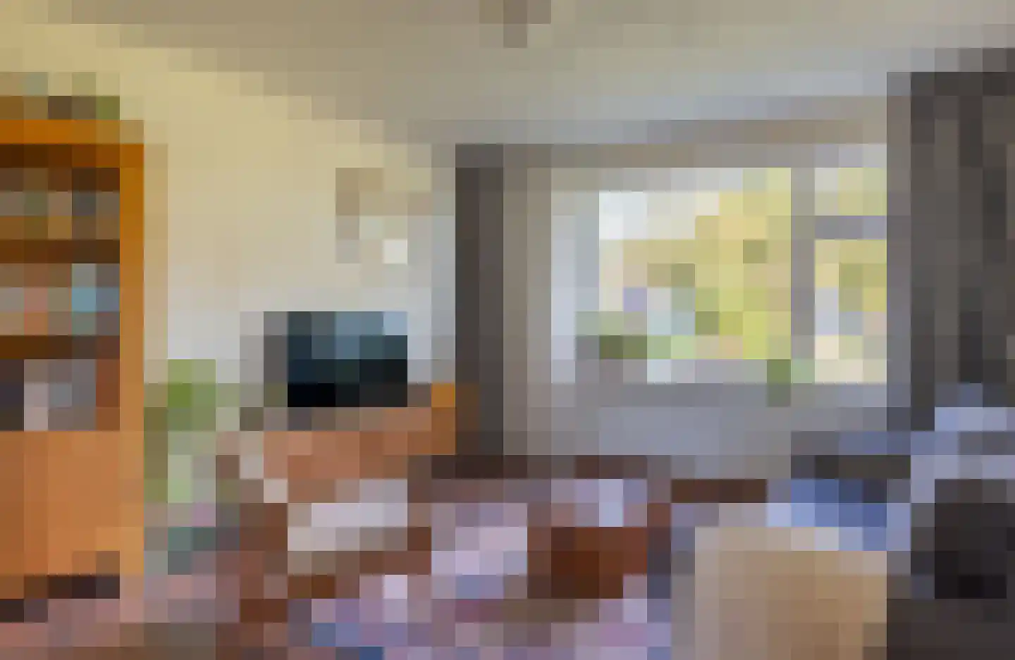 Eerste Blokweg 19 Vroomshoop thumbnail 6