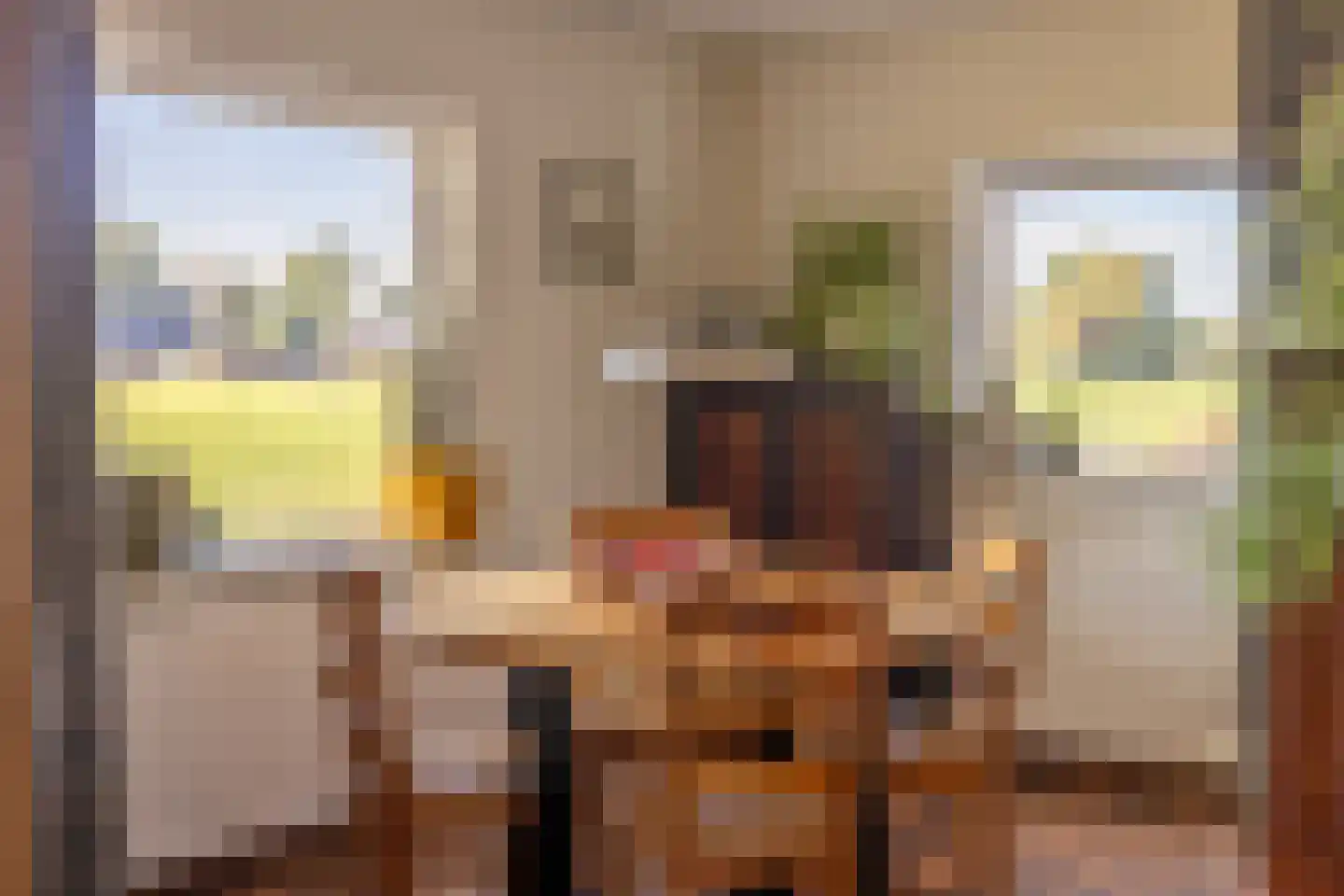 Eerste Blokweg 19 Vroomshoop thumbnail 7