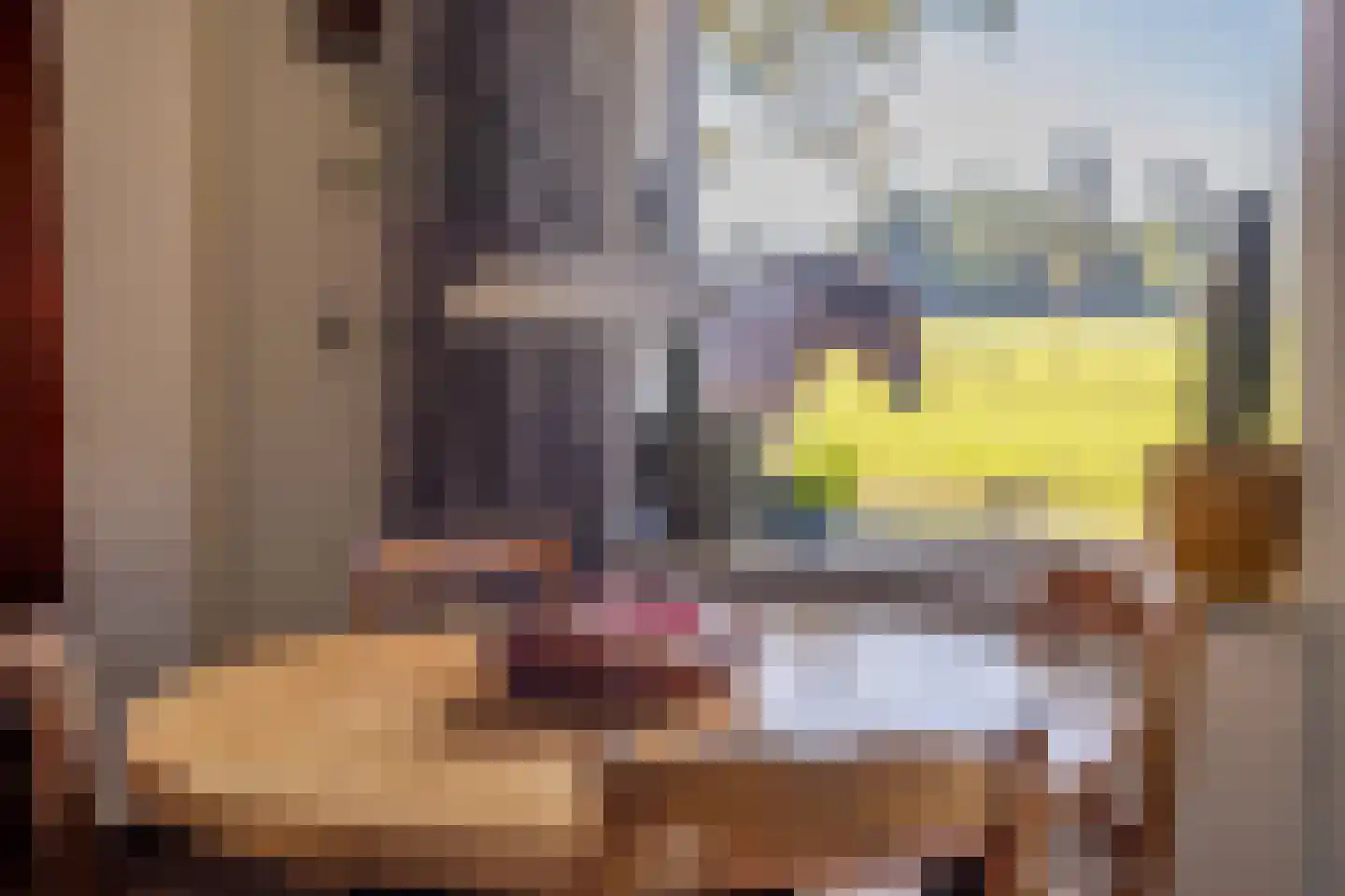 Eerste Blokweg 19 Vroomshoop thumbnail 8