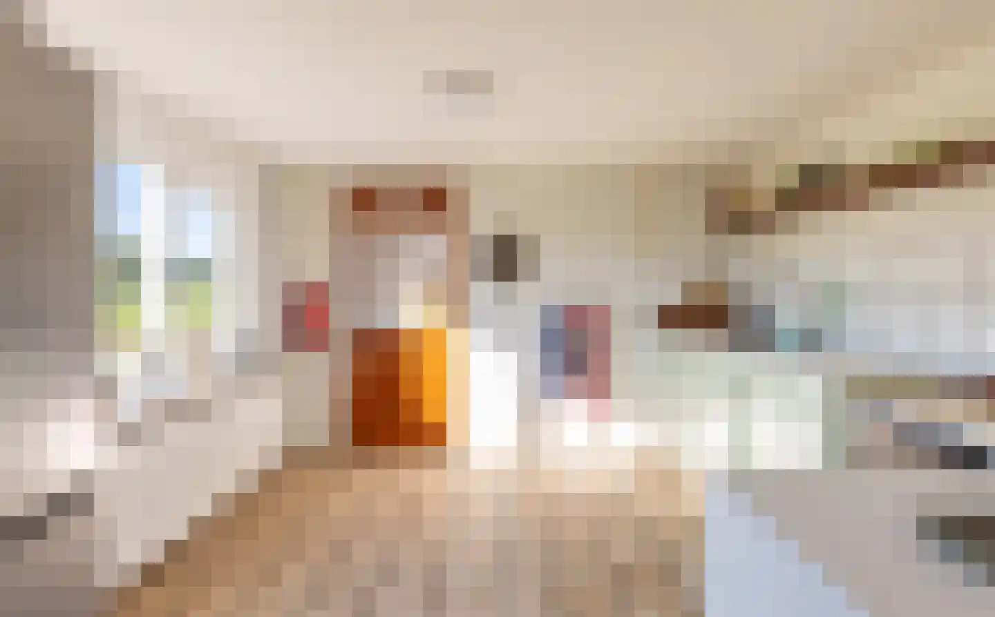 Eerste Blokweg 19 Vroomshoop thumbnail 9