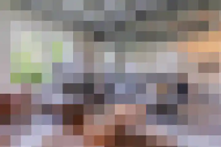 Eerste Blokweg 43 Vroomshoop thumbnail 10