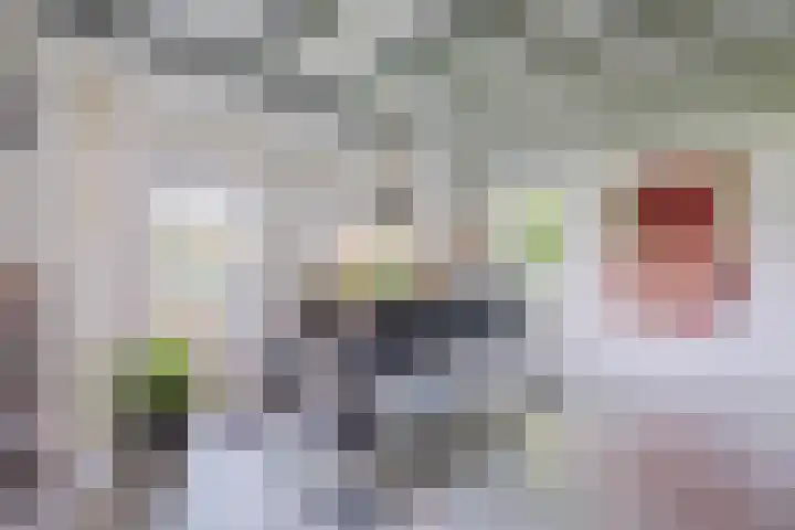 Eerste Blokweg 43 Vroomshoop thumbnail 11