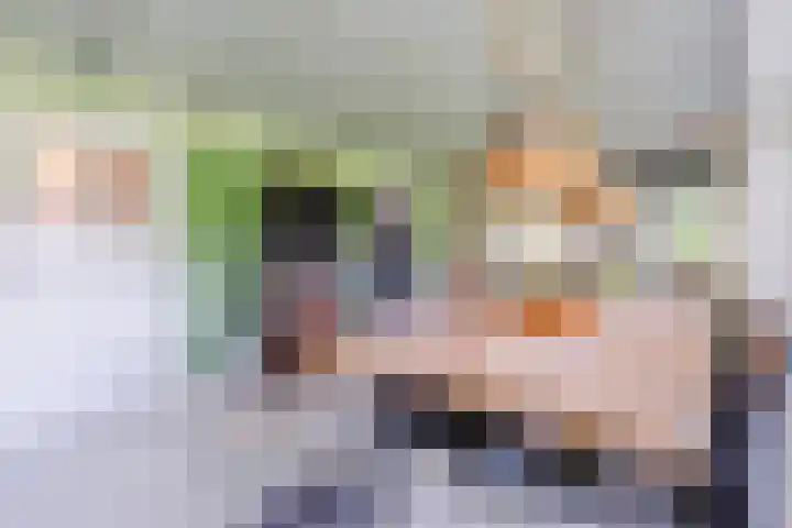 Eerste Blokweg 43 Vroomshoop thumbnail 12