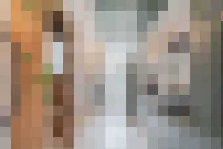 Eerste Blokweg 43 Vroomshoop thumbnail 15