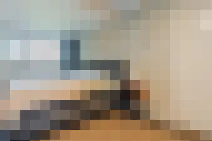 Eerste Blokweg 43 Vroomshoop thumbnail 18