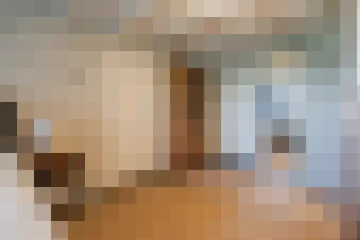 Eerste Blokweg 43 Vroomshoop thumbnail 19