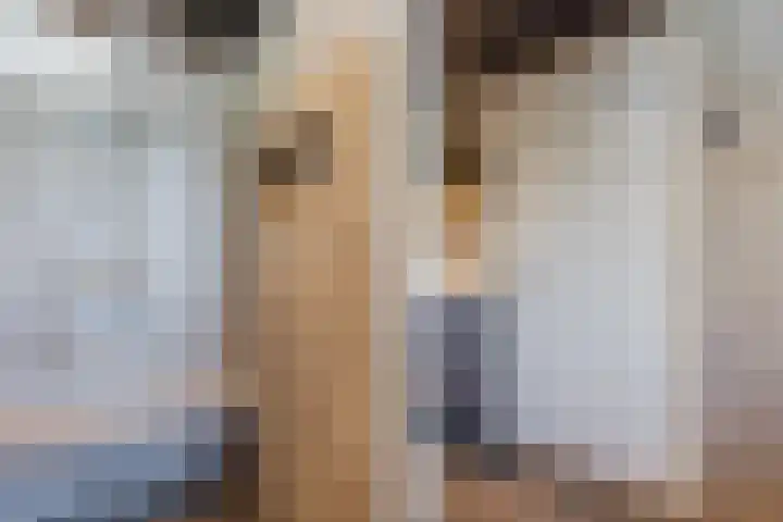 Eerste Blokweg 43 Vroomshoop thumbnail 22