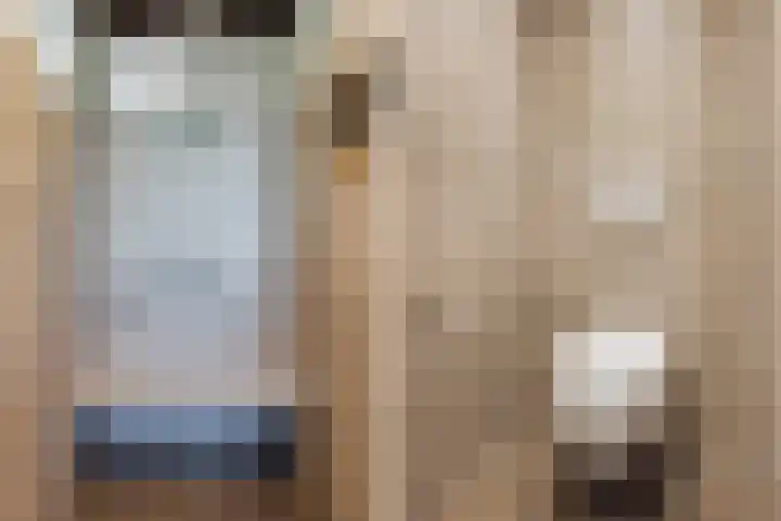 Eerste Blokweg 43 Vroomshoop thumbnail 23