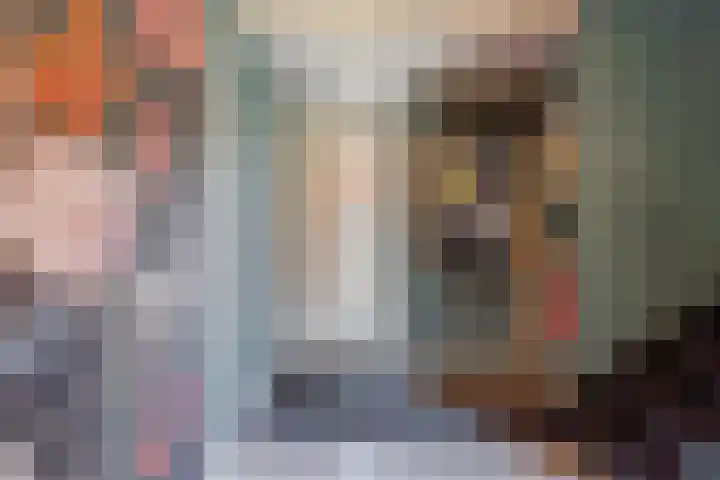 Eerste Blokweg 43 Vroomshoop thumbnail 24