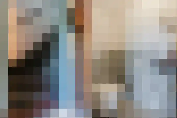 Eerste Blokweg 43 Vroomshoop thumbnail 25