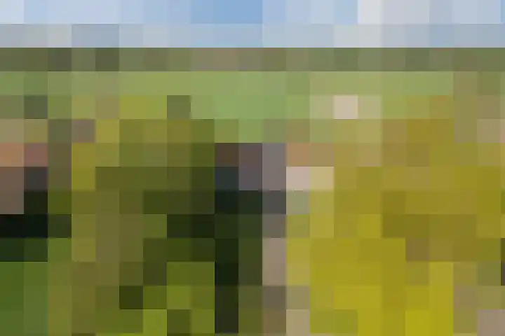 Eerste Blokweg 43 Vroomshoop thumbnail 31