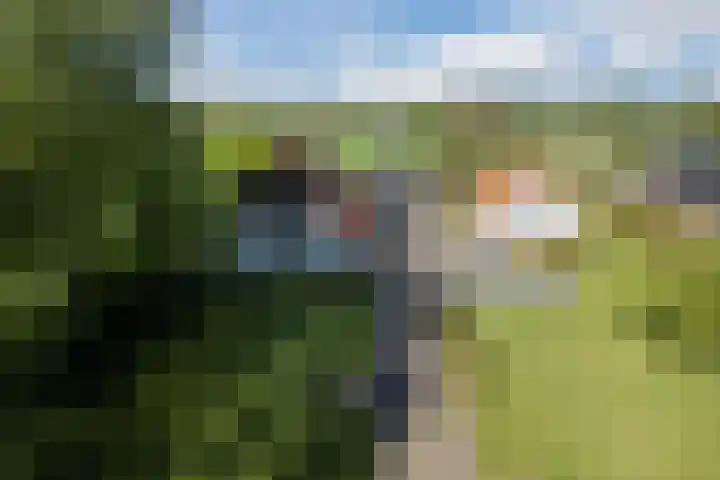 Eerste Blokweg 43 Vroomshoop thumbnail 32