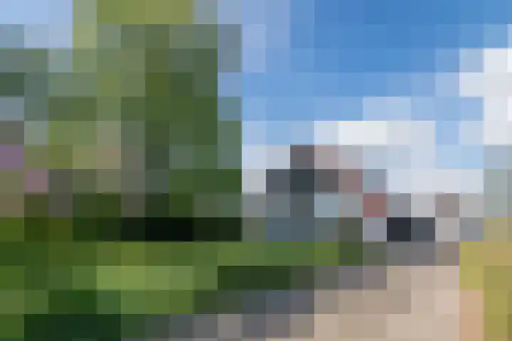 Eerste Blokweg 43 Vroomshoop thumbnail 33
