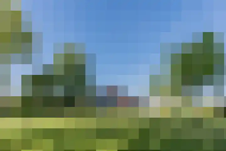 Eerste Blokweg 43 Vroomshoop thumbnail 34