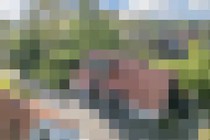 Eerste Blokweg 43 Vroomshoop thumbnail 37