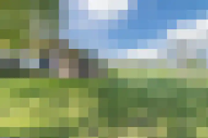 Eerste Blokweg 43 Vroomshoop thumbnail 41