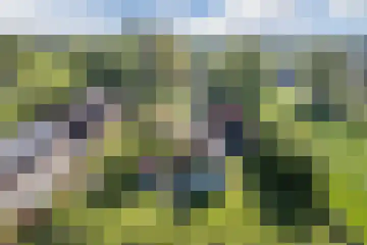 Eerste Blokweg 43 Vroomshoop thumbnail 42