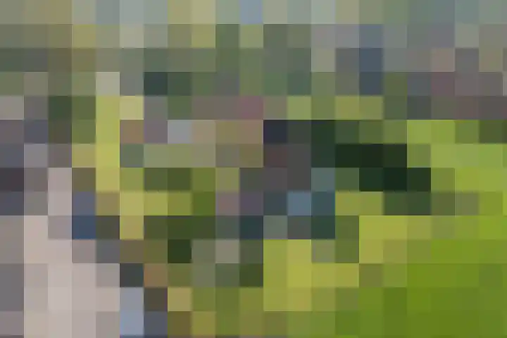 Eerste Blokweg 43 Vroomshoop thumbnail 43