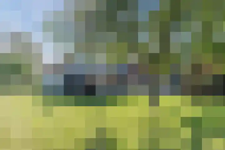 Eerste Blokweg 43 Vroomshoop thumbnail 45
