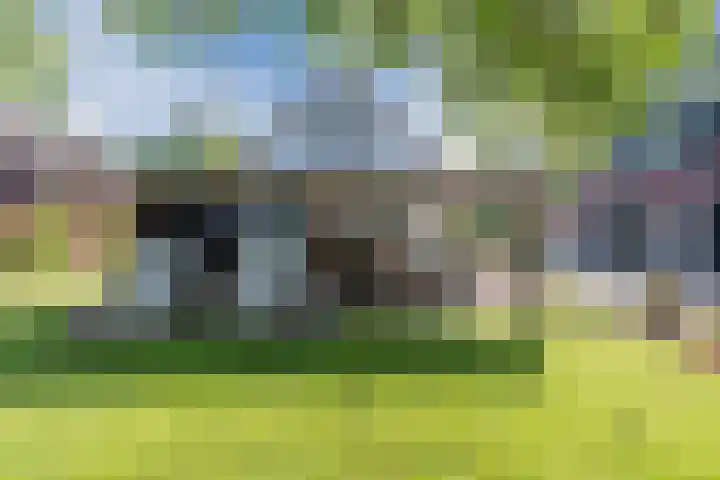 Eerste Blokweg 43 Vroomshoop thumbnail 47