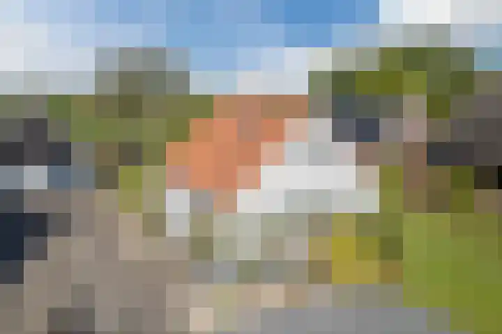 Eerste Blokweg 43 Vroomshoop thumbnail 49