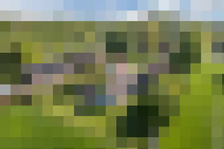 Eerste Blokweg 43 Vroomshoop thumbnail 52
