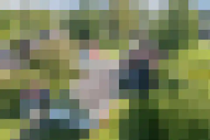 Eerste Blokweg 43 Vroomshoop thumbnail 53