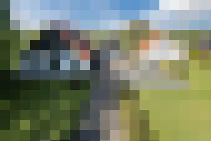 Eerste Blokweg 43 Vroomshoop thumbnail 6