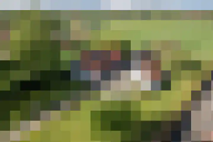 Eerste Blokweg 43 Vroomshoop thumbnail 64