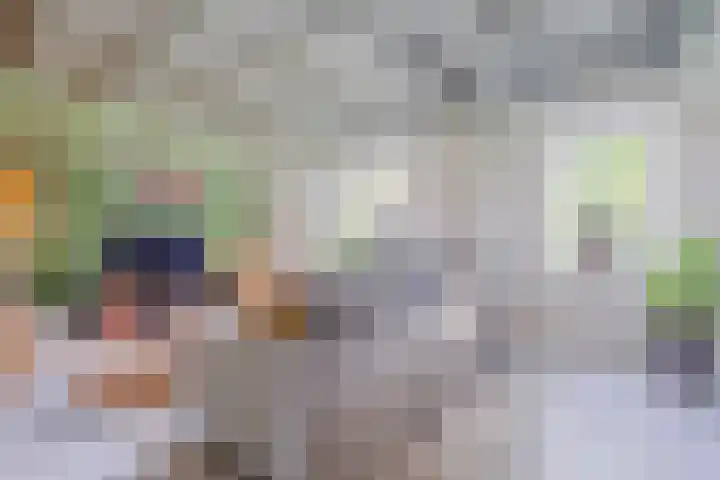 Eerste Blokweg 43 Vroomshoop thumbnail 8