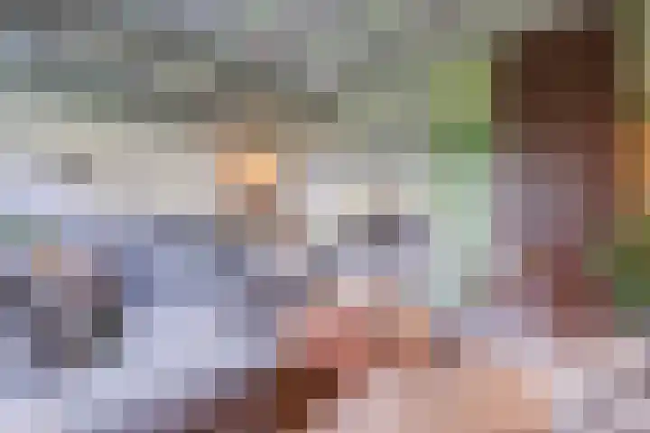 Eerste Blokweg 43 Vroomshoop thumbnail 9