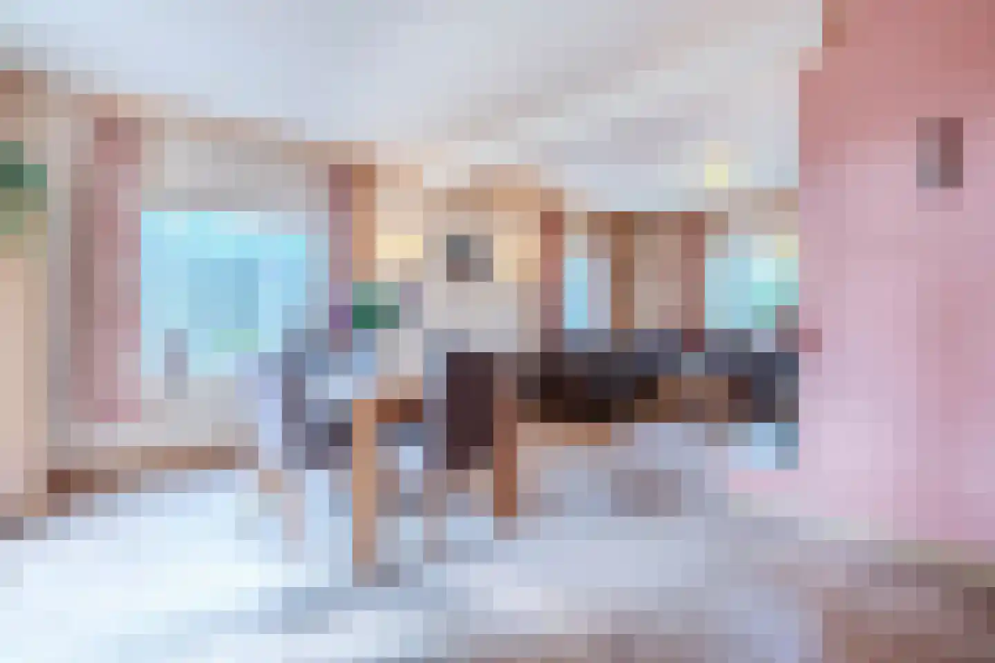 Eerste Blokweg 92 Vroomshoop thumbnail 10