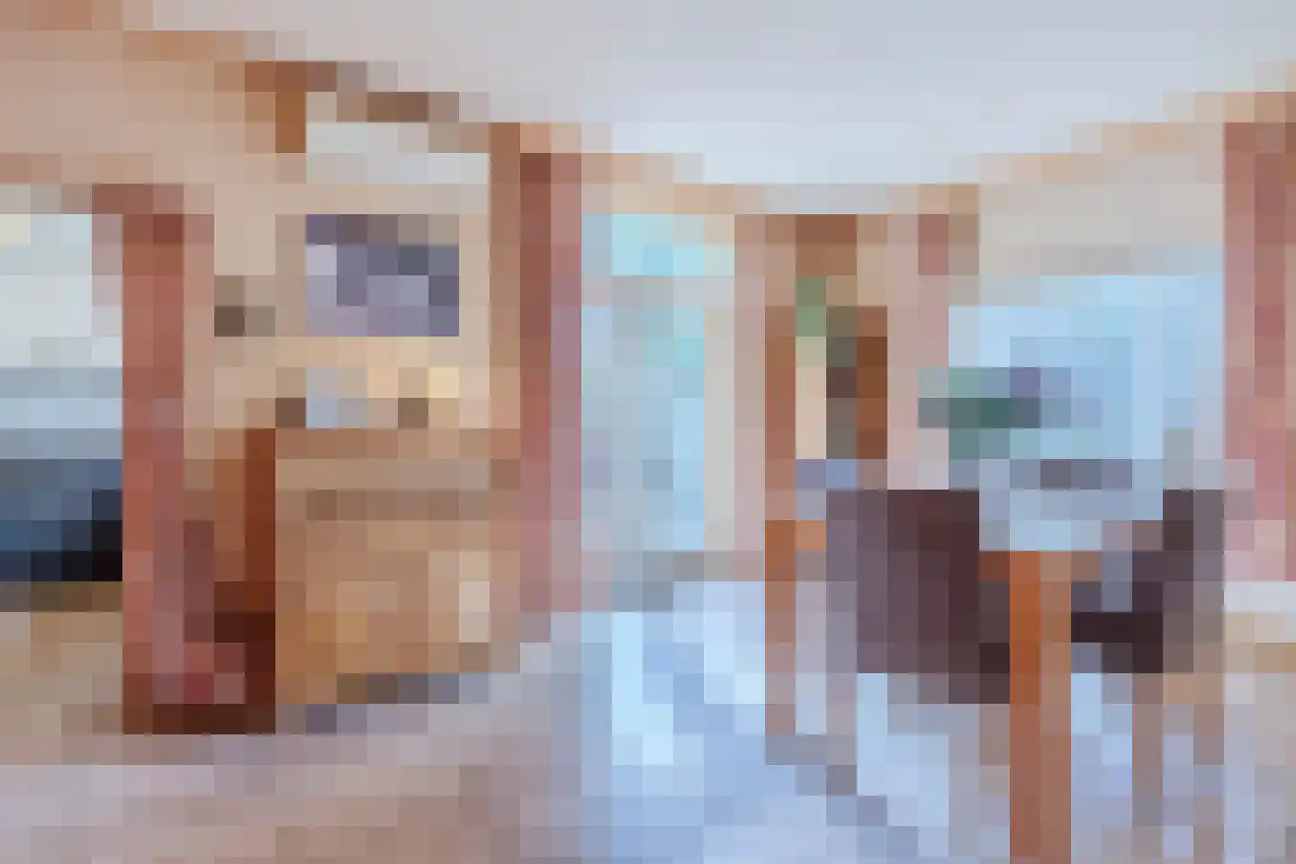 Eerste Blokweg 92 Vroomshoop thumbnail 11