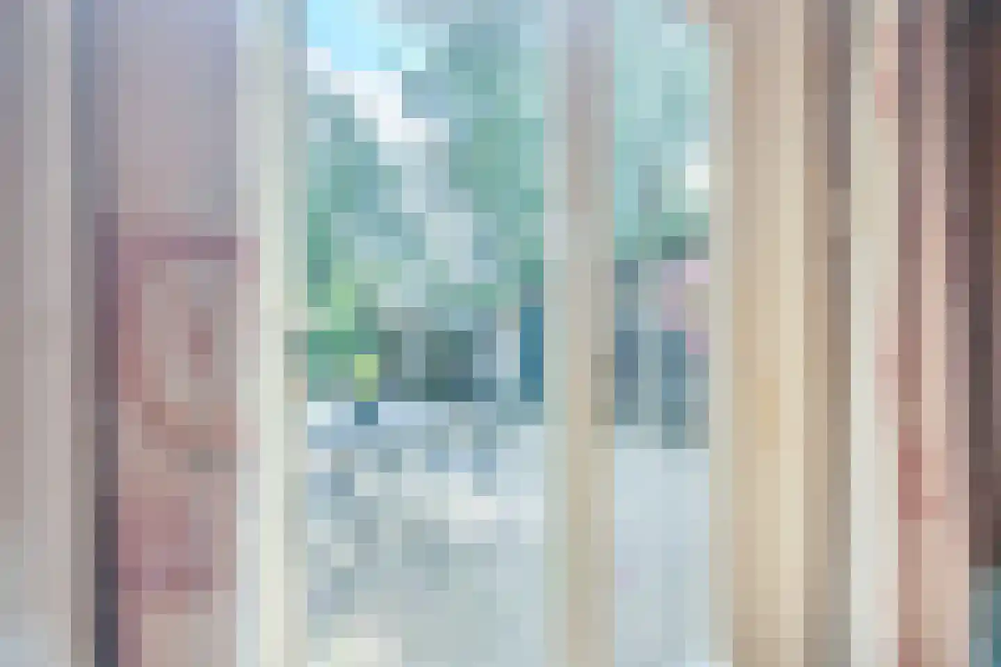 Eerste Blokweg 92 Vroomshoop thumbnail 12