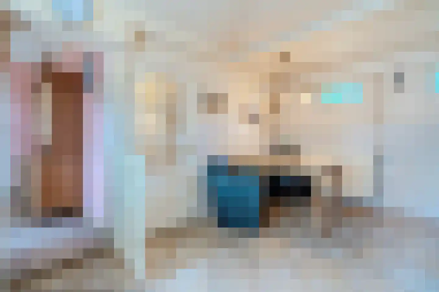 Eerste Blokweg 92 Vroomshoop thumbnail 13