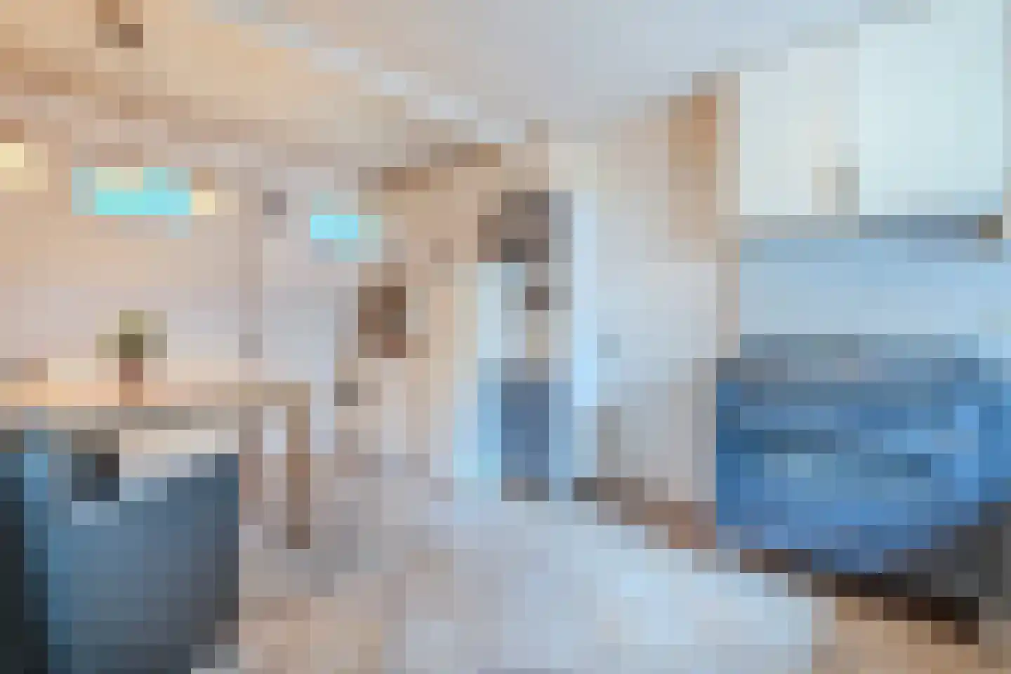 Eerste Blokweg 92 Vroomshoop thumbnail 14