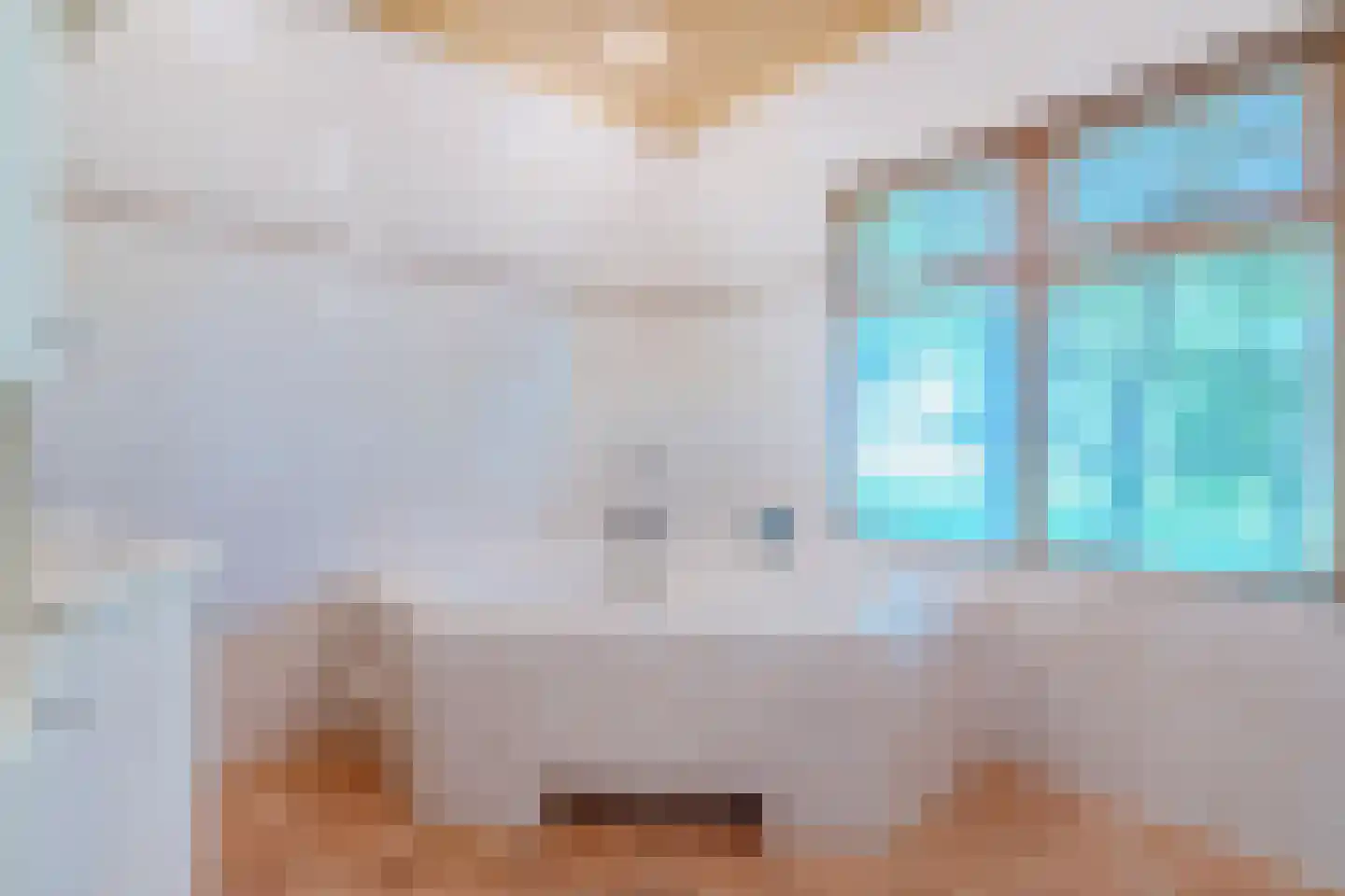 Eerste Blokweg 92 Vroomshoop thumbnail 17