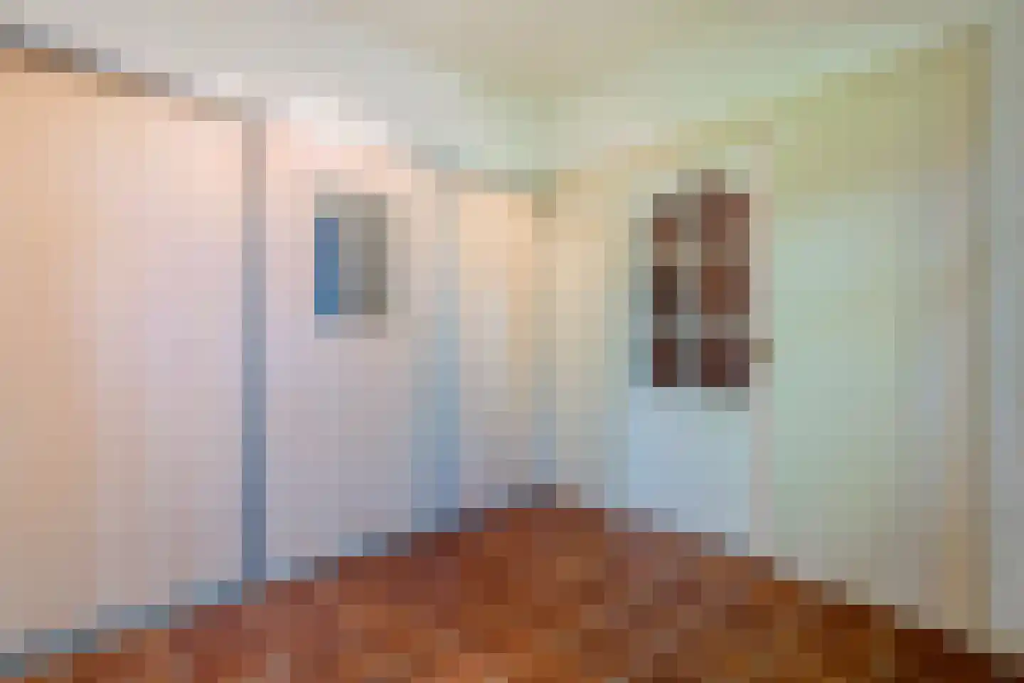 Eerste Blokweg 92 Vroomshoop thumbnail 21