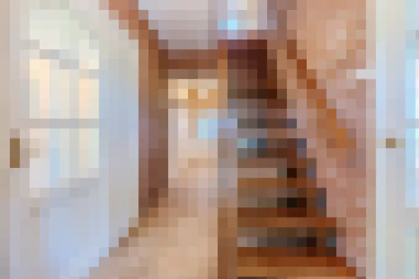 Eerste Blokweg 92 Vroomshoop thumbnail 26