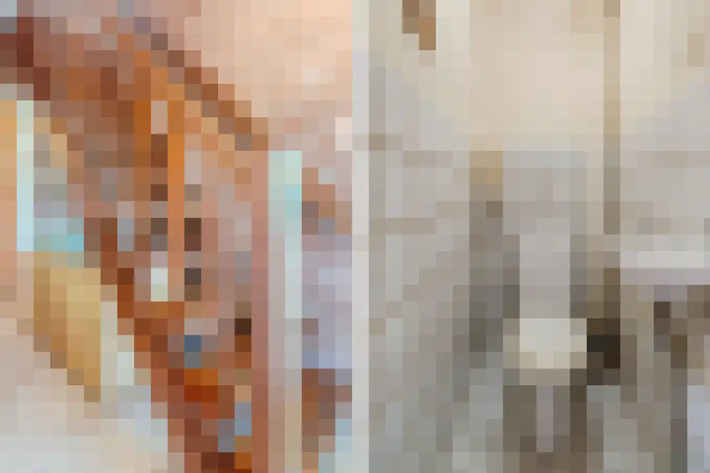 Eerste Blokweg 92 Vroomshoop thumbnail 27
