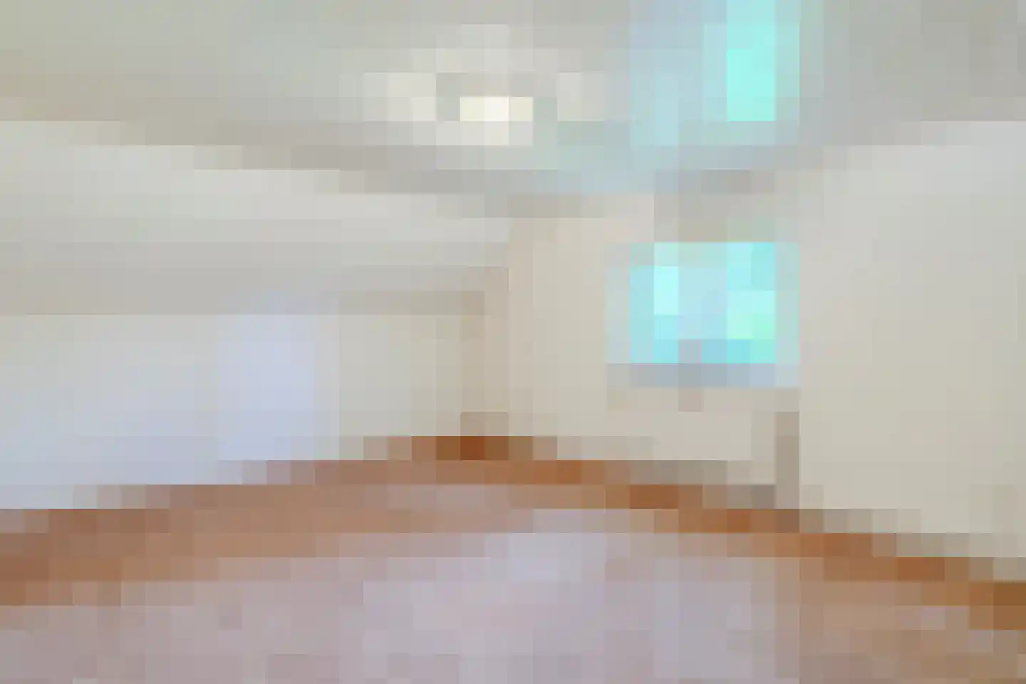 Eerste Blokweg 92 Vroomshoop thumbnail 28
