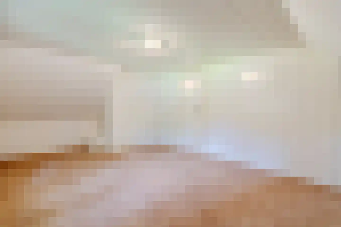 Eerste Blokweg 92 Vroomshoop thumbnail 29