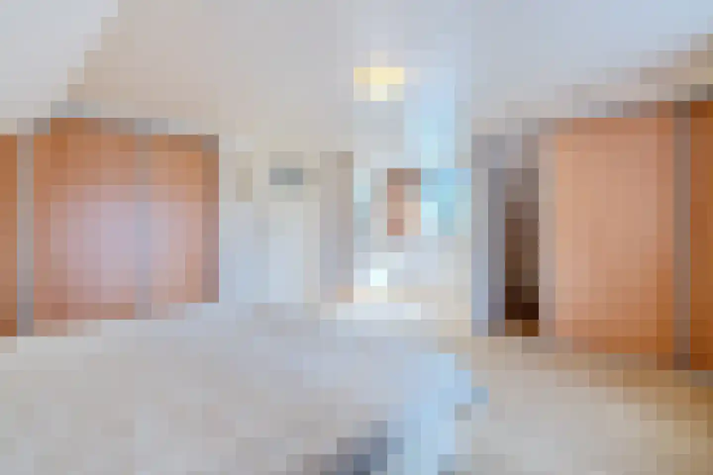 Eerste Blokweg 92 Vroomshoop thumbnail 31