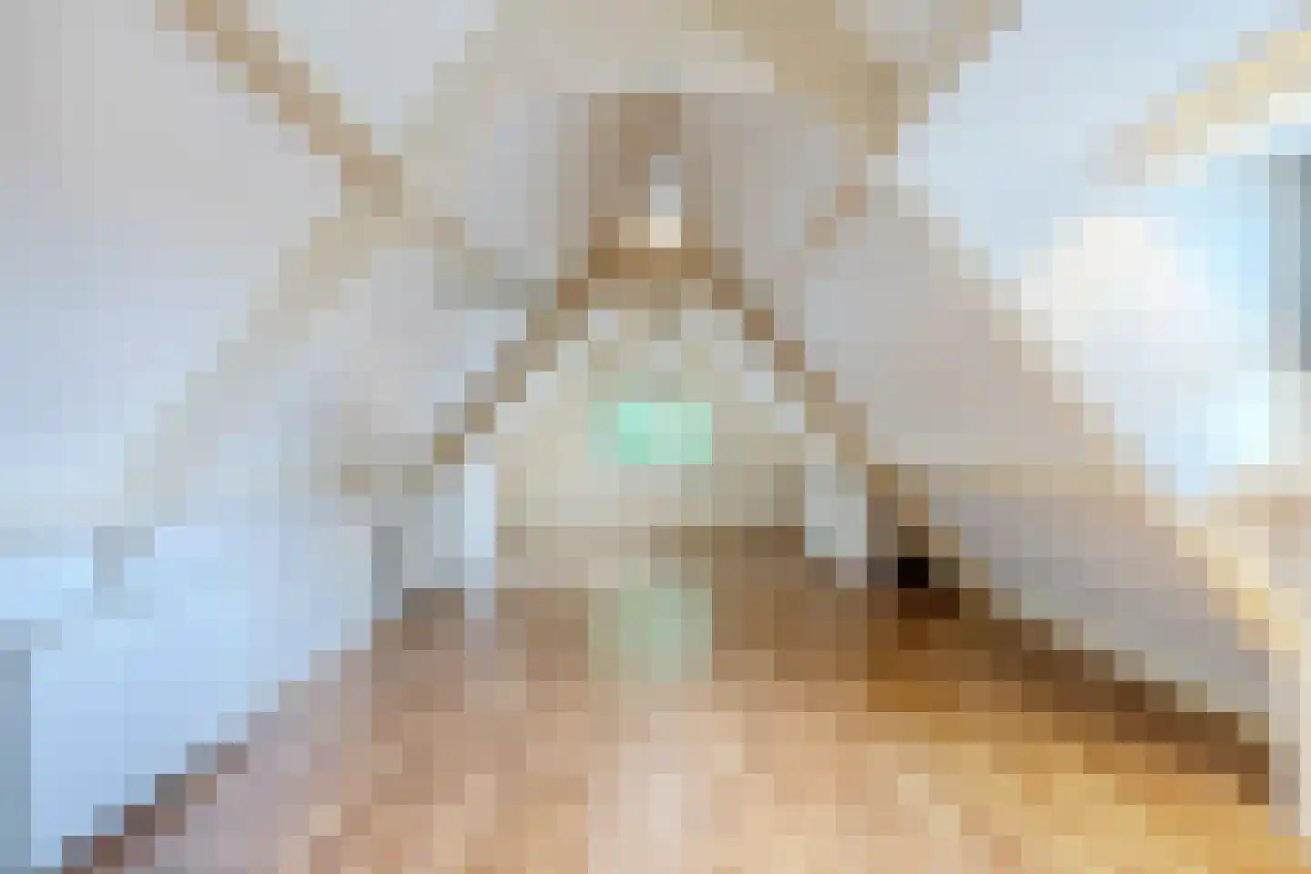 Eerste Blokweg 92 Vroomshoop thumbnail 35