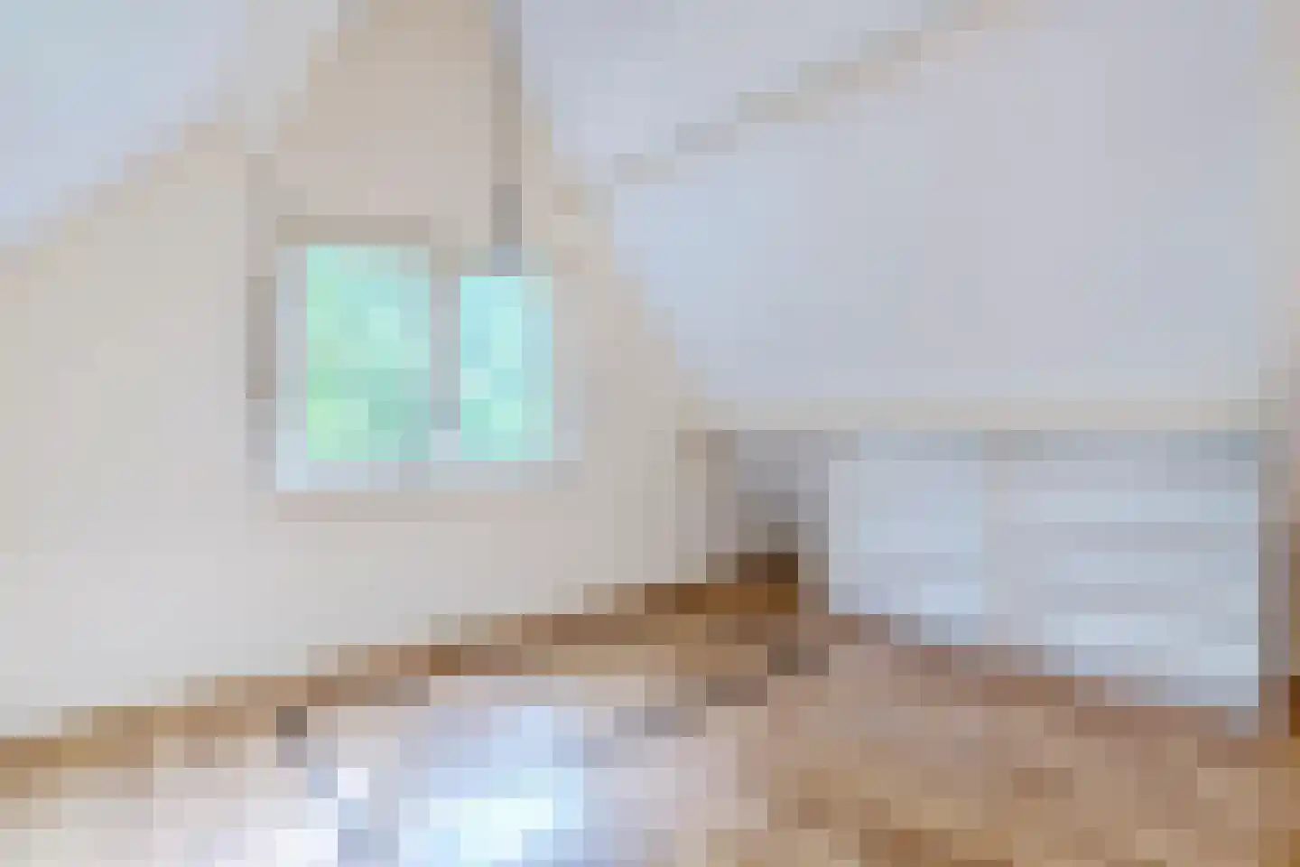 Eerste Blokweg 92 Vroomshoop thumbnail 36