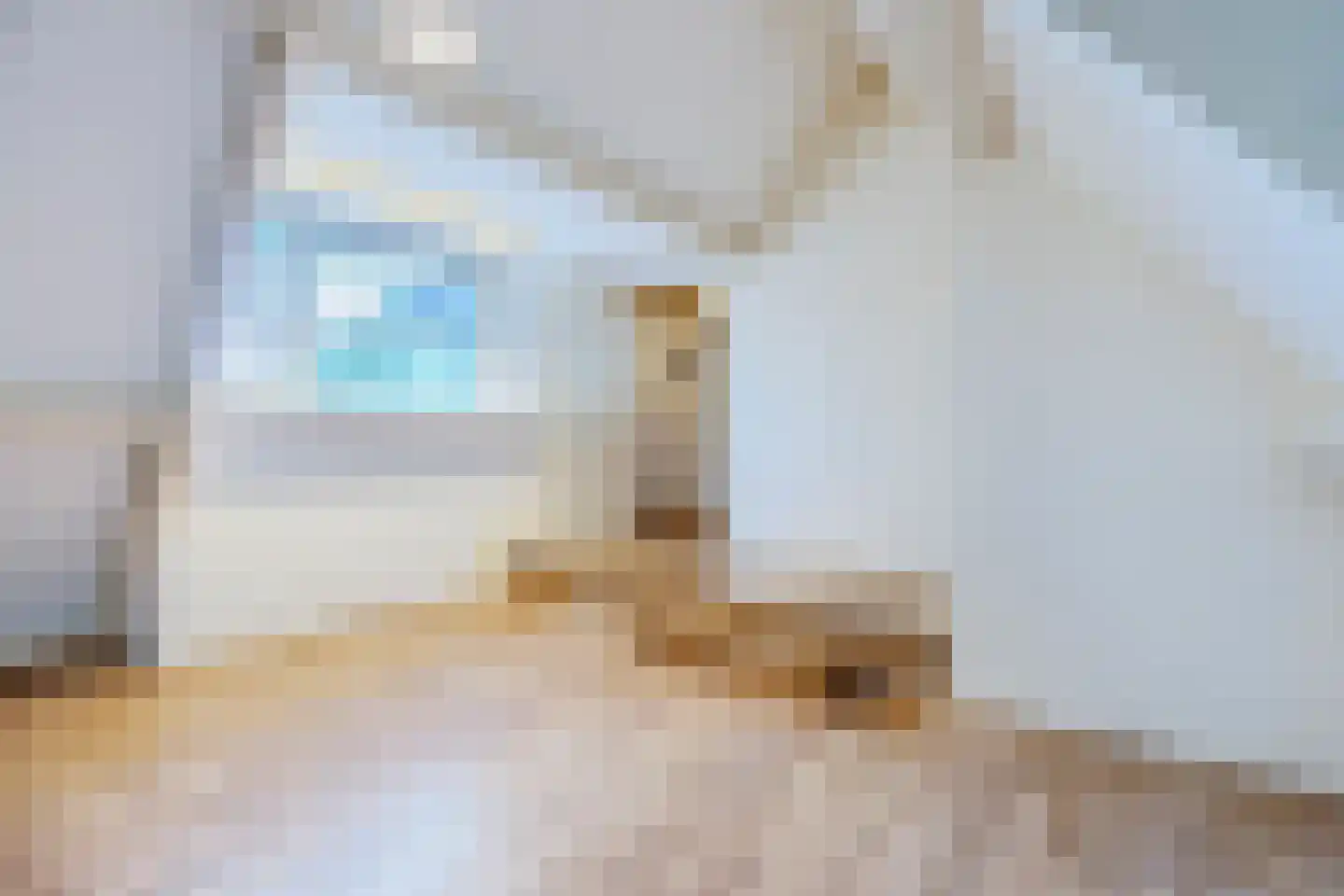 Eerste Blokweg 92 Vroomshoop thumbnail 37