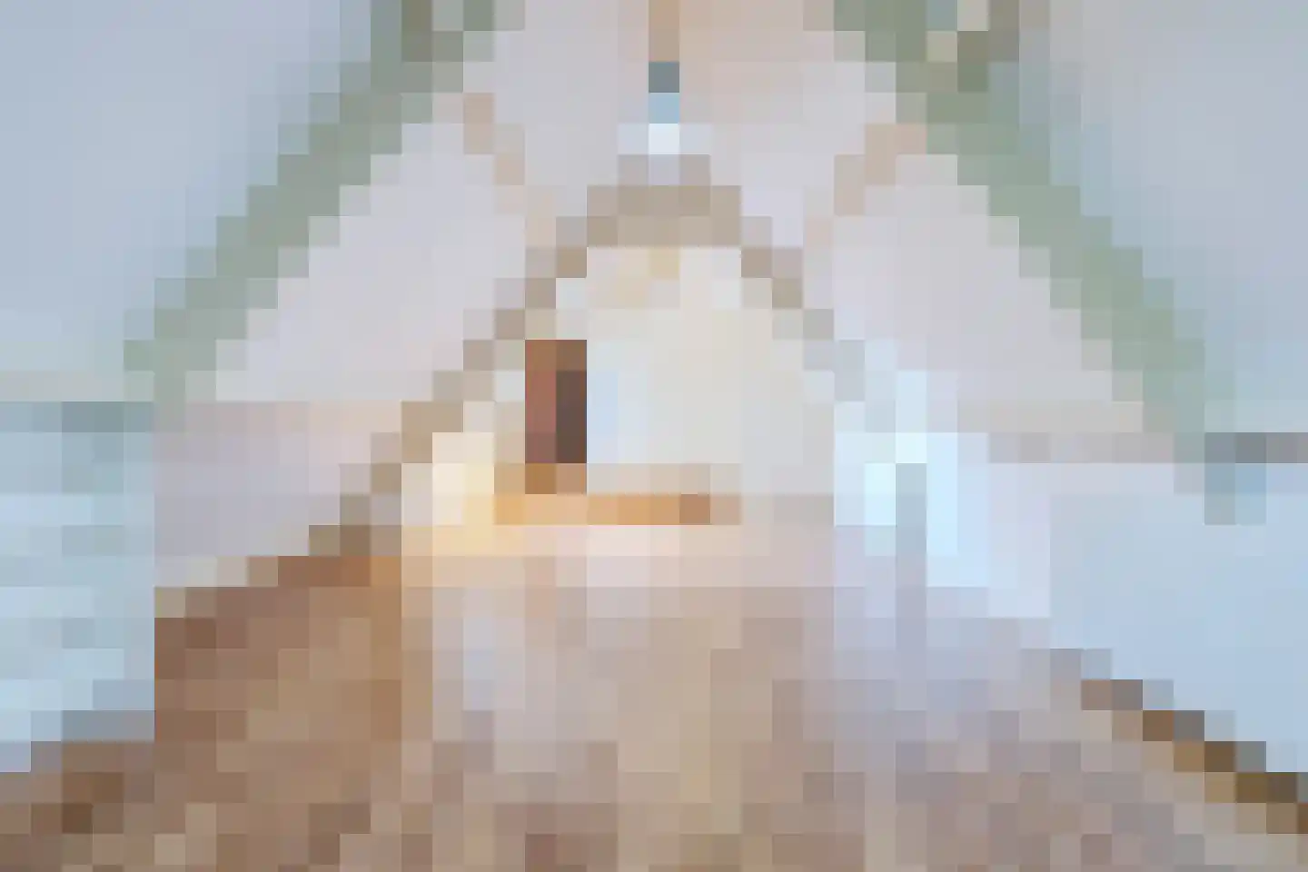 Eerste Blokweg 92 Vroomshoop thumbnail 38